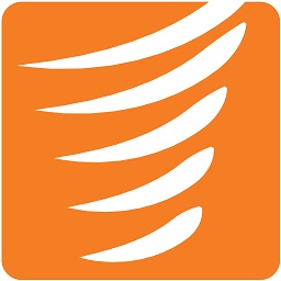 GSS icon – GSS Case Portal